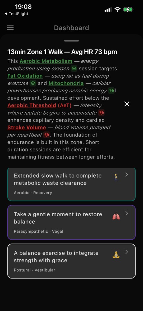 Forjum aerobic session explanation card